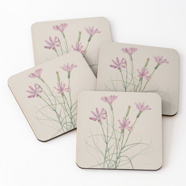 Item preview, Skeleton Weed (Lygodesmia grandiflora) by Mary Vaux Walcott designed and sold by Amanda1775.