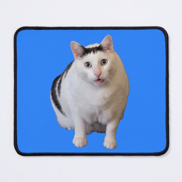 Item preview, Huh cat designed and sold by Chonk Borris.