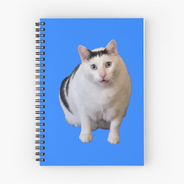 Item preview, Huh cat designed and sold by Chonk Borris.