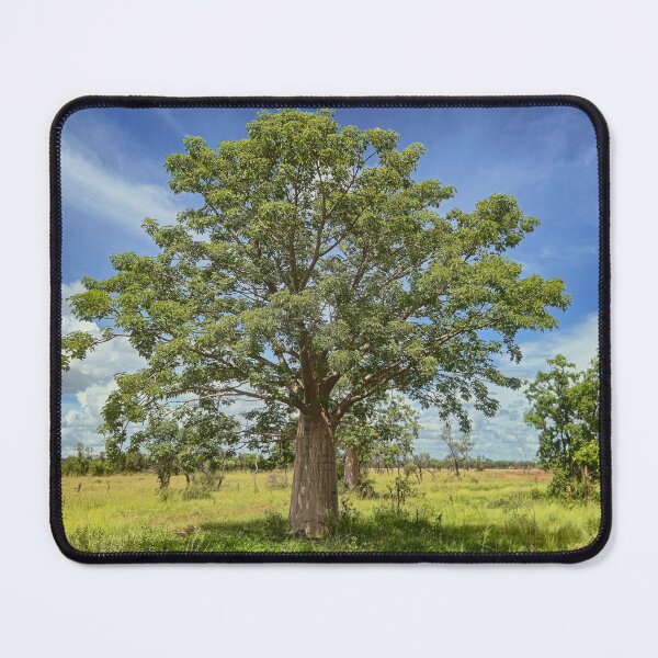 Item preview, kimberley wet season baobab designed and sold by Elliot62.