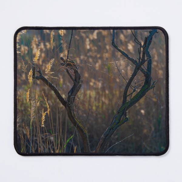Item preview, Delicate Detail designed and sold by Ralph Goldsmith.