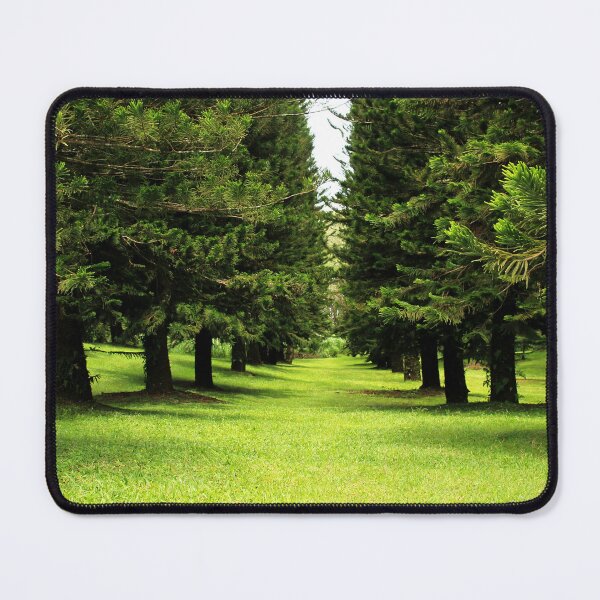 Item preview, Rows of Pine Trees designed and sold by Folkerie.