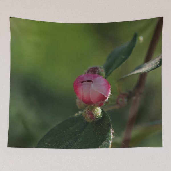 Item preview, Tiny Pink Flower Bud Macro designed and sold by vikko-art.