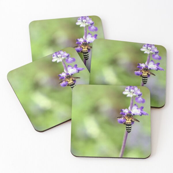 Item preview, Close-up of a bee pollinating a purple and white flower designed and sold by Folkerie.