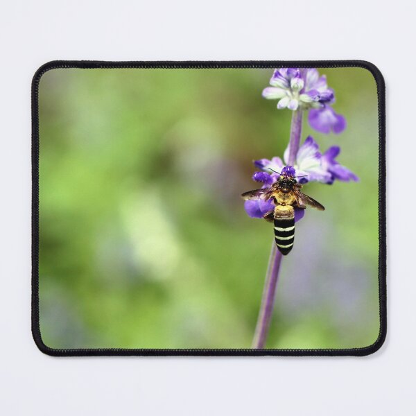 Item preview, Close-up of a bee pollinating a purple and white flower designed and sold by Folkerie.