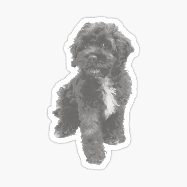 Item preview, Gray Cockapoo Puppy designed and sold by LeatherDragon.