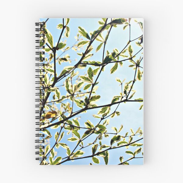 Item preview, Vibrant foliage of variegated leaves and branches designed and sold by Folkerie.