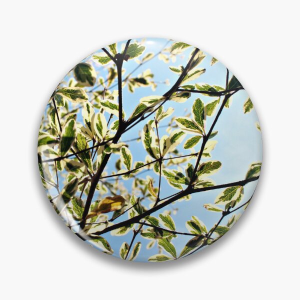 Item preview, Vibrant foliage of variegated leaves and branches designed and sold by Folkerie.