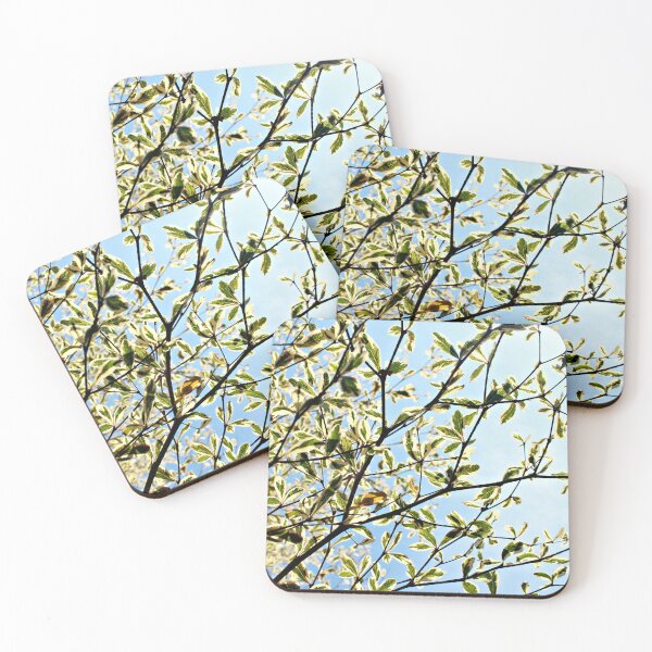 Item preview, Vibrant foliage of variegated leaves and branches designed and sold by Folkerie.