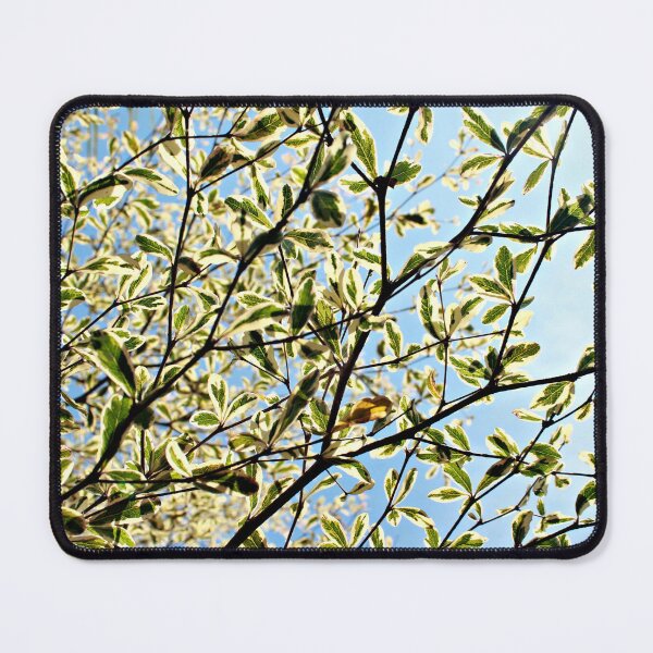 Item preview, Vibrant foliage of variegated leaves and branches designed and sold by Folkerie.