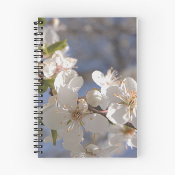 Item preview, Dreamy White Blossoms in a Bright Blue Sky designed and sold by vikko-art.