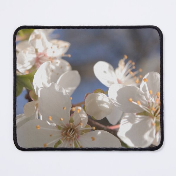 Item preview, Dreamy White Blossoms in a Bright Blue Sky designed and sold by vikko-art.