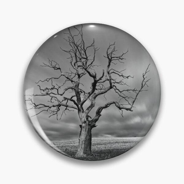 Item preview, Dead Tree Horizon Black and White Photographic Print designed and sold by Mother-Nature65.