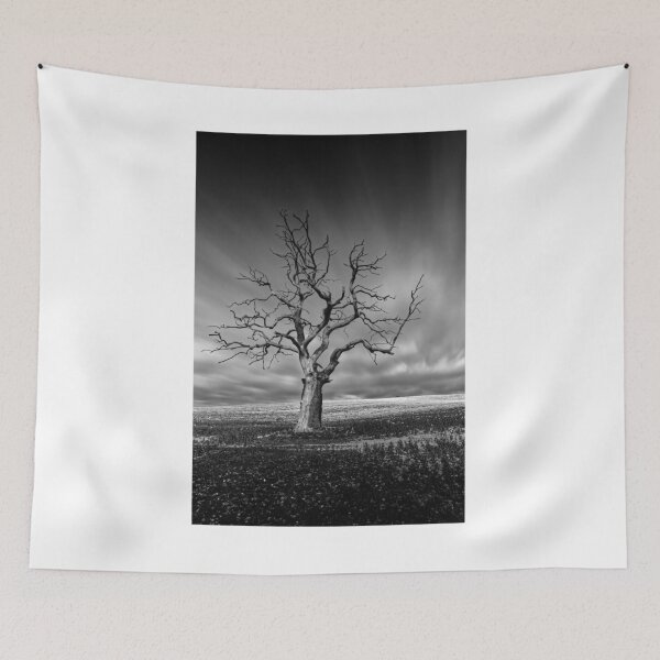 Item preview, Dead Tree Horizon Black and White Photographic Print designed and sold by Mother-Nature65.