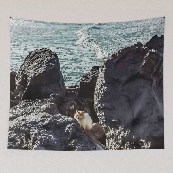 Item preview, cat by the beach designed and sold by calinedesign.