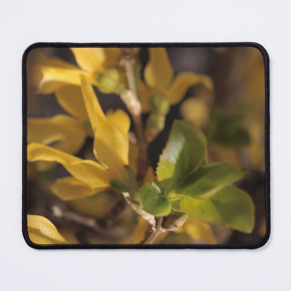 Item preview, Warm Sun-Kissed Forsythia: A Soft Spring Dream designed and sold by vikko-art.