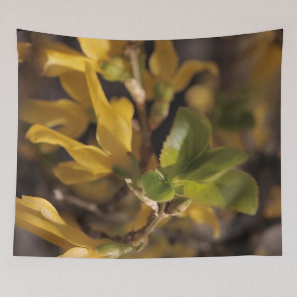 Item preview, Warm Sun-Kissed Forsythia: A Soft Spring Dream designed and sold by vikko-art.