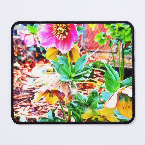 Item preview, Aviva designed and sold by Sushi's Glimpses.