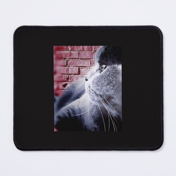 Item preview, British Shorthair cat designed and sold by AngeliqueParis.