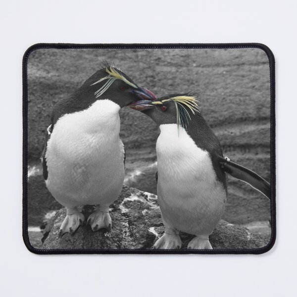 Item preview, Penguin Colour Splash designed and sold by UKJBDesigns2026.