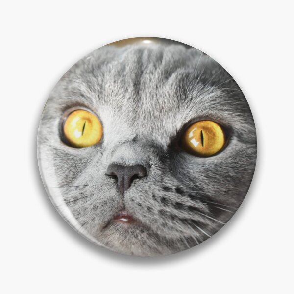 Item preview, My cat designed and sold by AngeliqueParis.