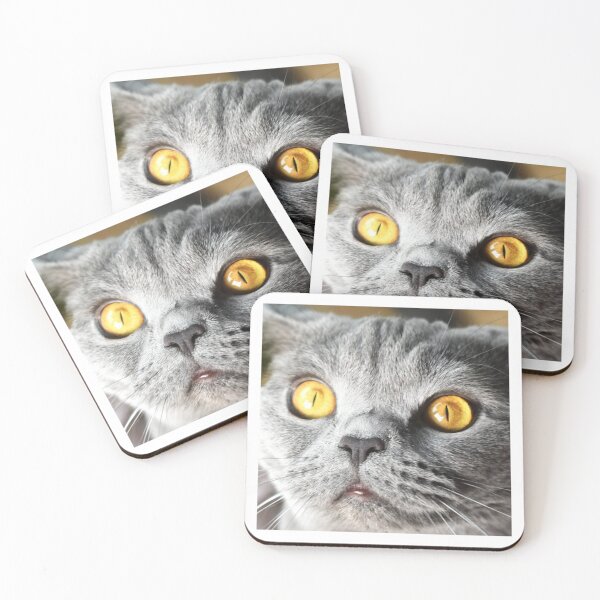 Item preview, My cat designed and sold by AngeliqueParis.