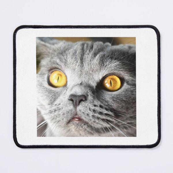 Item preview, My cat designed and sold by AngeliqueParis.