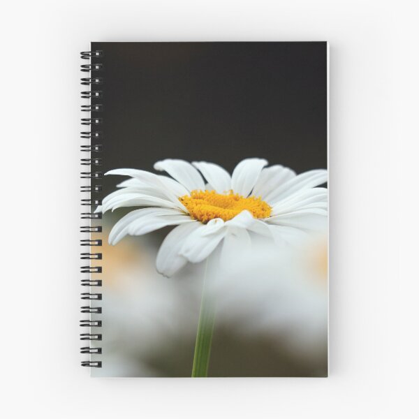 Item preview, Oxeye daisies I designed and sold by GreyFeatherPhot.
