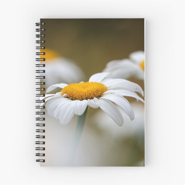 Item preview, Oxeye daisies II designed and sold by GreyFeatherPhot.