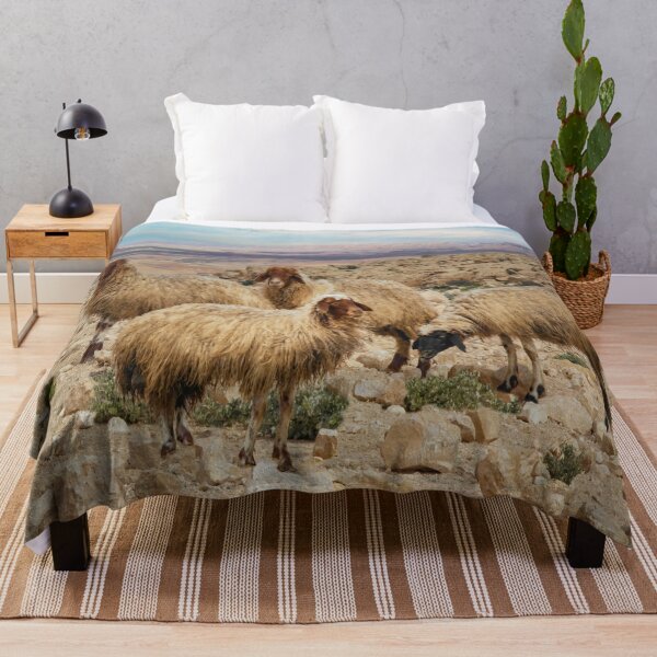 Item preview, Israel, Mitzpe Ramon. Sheep at Ramon Crater. designed and sold by UltraQuirky.