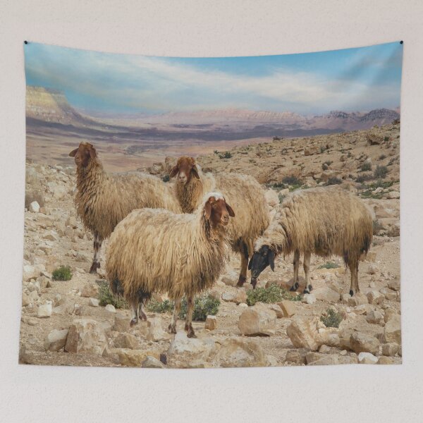 Item preview, Israel, Mitzpe Ramon. Sheep at Ramon Crater. designed and sold by UltraQuirky.