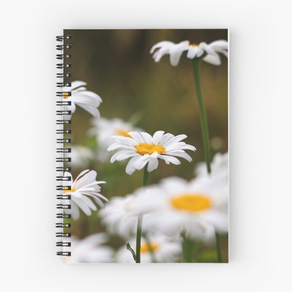 Item preview, Oxeye daisies III designed and sold by GreyFeatherPhot.