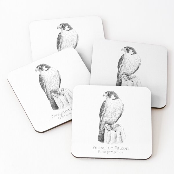Item preview, Peregrine Falcon designed and sold by Drawinism.