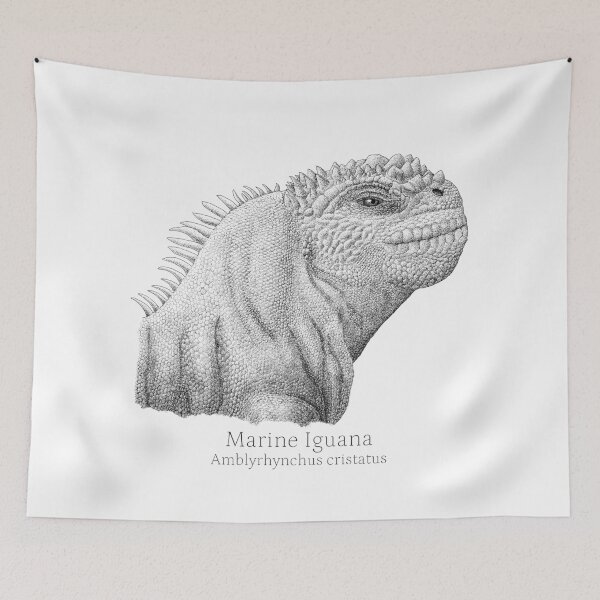 Item preview, Marine Iguana Head designed and sold by Drawinism.