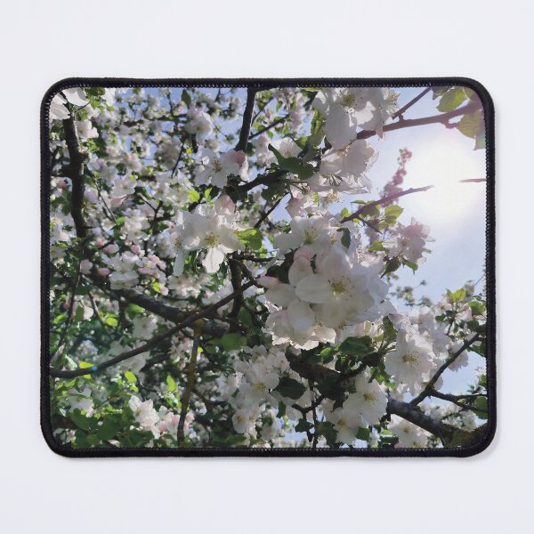 Item preview, Apple tree blossoms designed and sold by MiPa78.