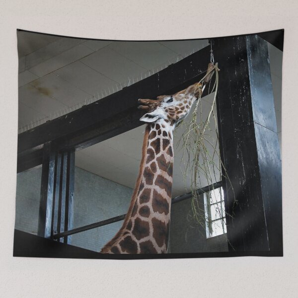 Item preview, giraffe designed and sold by Belles-Photos.