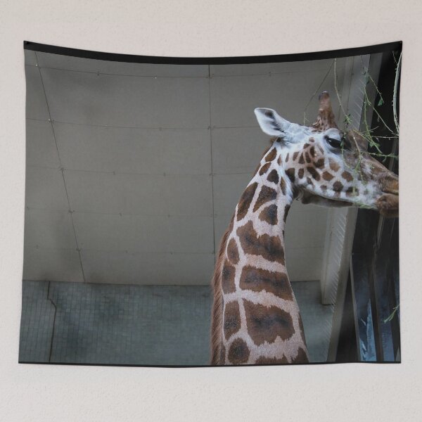 Item preview, Munchies designed and sold by Belles-Photos.
