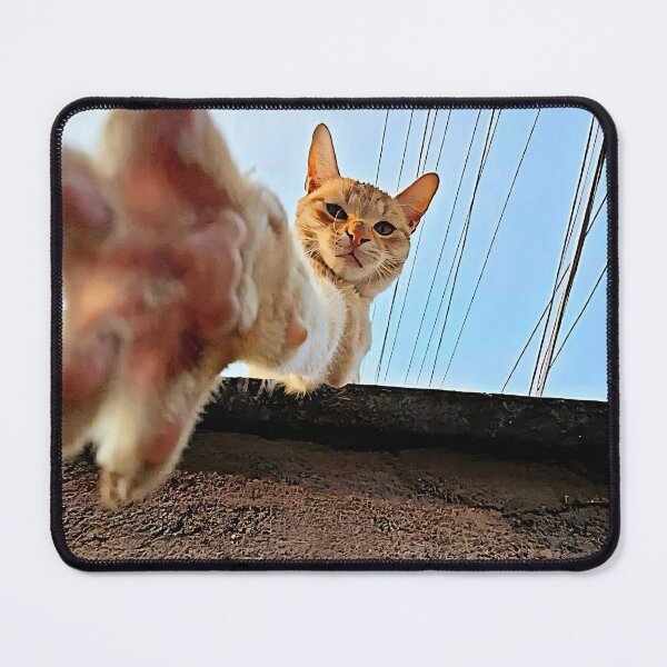 Item preview, Cat Friend designed and sold by Fire TheMann.