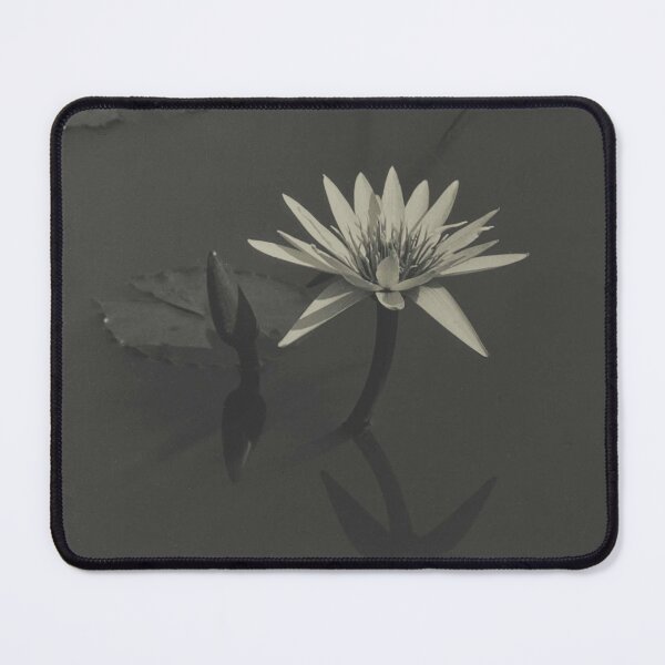 Item preview, Vintage, The Lily, 1918 lily pond Japanese garden black and white tropical floral poster art print designed and sold by Astrid Arkhangelsky.