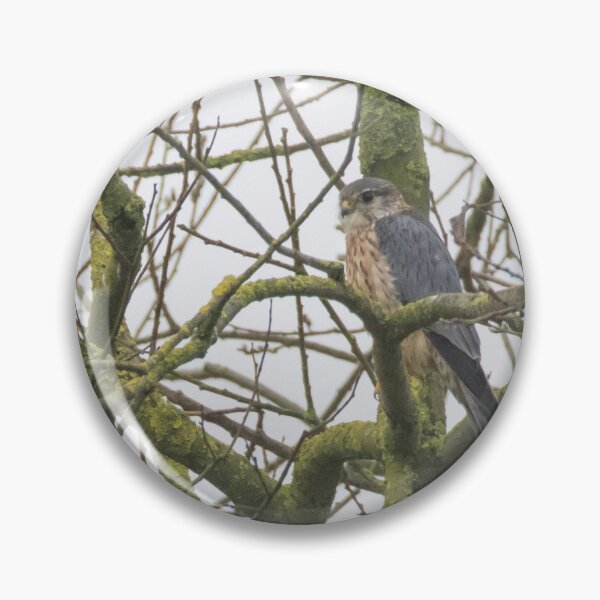 Item preview, Merlin designed and sold by LaurenTucker.