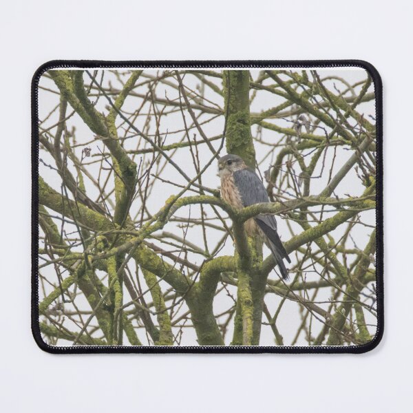 Item preview, Merlin designed and sold by LaurenTucker.