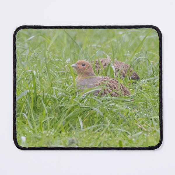 Item preview, Grey Partridge designed and sold by LaurenTucker.
