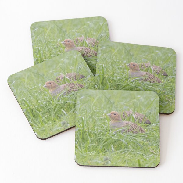 Item preview, Grey Partridge designed and sold by LaurenTucker.