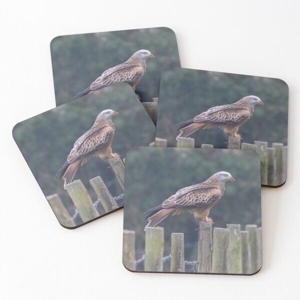 Item preview, Red Kite designed and sold by LaurenTucker.