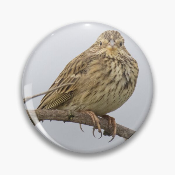 Item preview, Corn Bunting designed and sold by LaurenTucker.
