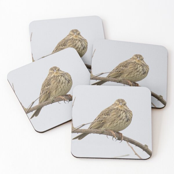 Item preview, Corn Bunting designed and sold by LaurenTucker.