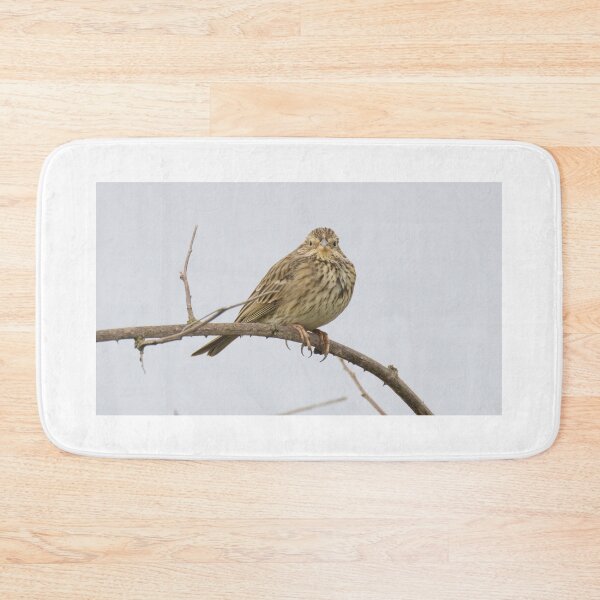 Item preview, Corn Bunting designed and sold by LaurenTucker.