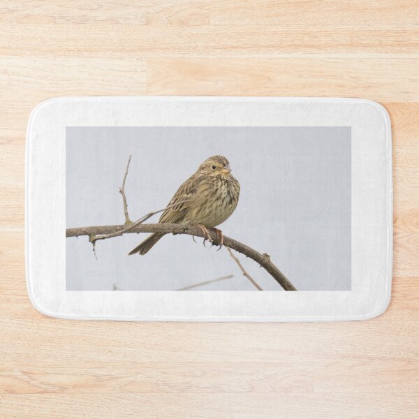 Item preview, Corn Bunting designed and sold by LaurenTucker.