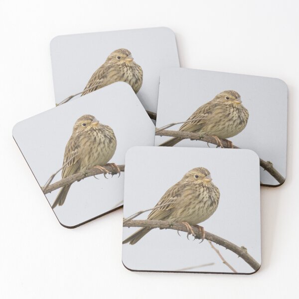 Item preview, Corn Bunting designed and sold by LaurenTucker.