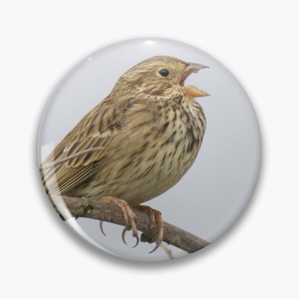Item preview, Corn Bunting designed and sold by LaurenTucker.